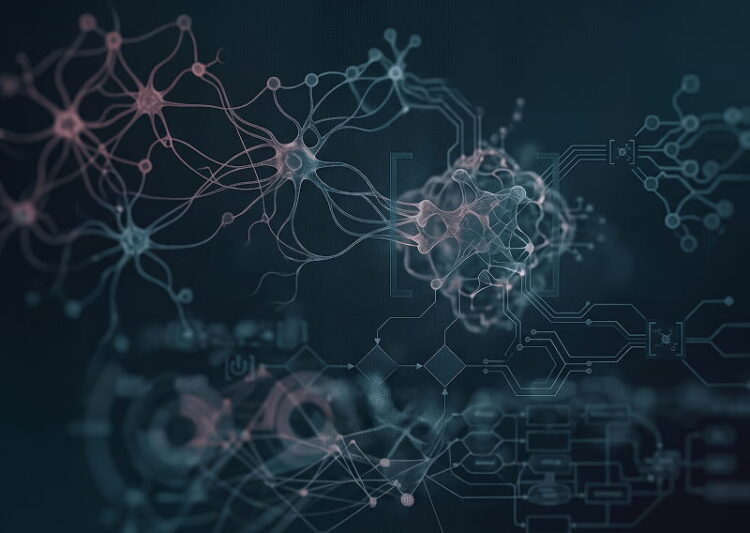 Redes neuronales de inteligencia artificial y automatizaci&oacute;n de procesos mostrando la optimizaci&oacute;n de sistemas digitales en la agencia Idento.